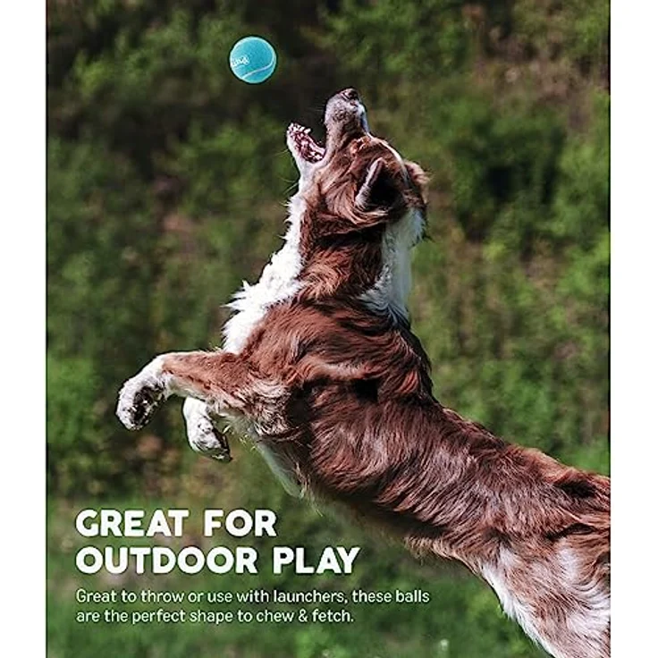 Outward Hound Squeaker Ballz - Hundespielzeug zum Apportieren - Größe M - 4er-Pack – Bild 4