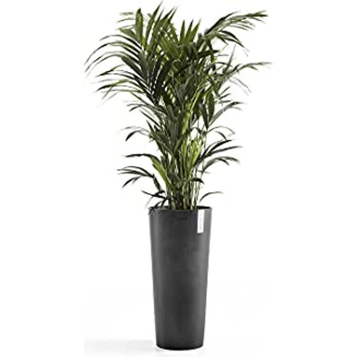 ECOPOTS | Blumentopf Gross | Amsterdam HEIGH | 76 cm hoch | 41 cm Durchmesser | anthrazit | Blumenkübel groß | Plant Pot | Flower Pot | 41 cm (Durchmesser) x 76 cm (Höhe) – Bild 2