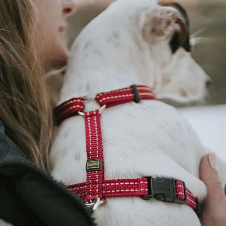 HUNTER Geschirr Tripoli (Himbeer, XXS) für kleine Hunde und Welpen mit Reflektorstreifen – Bild 4
