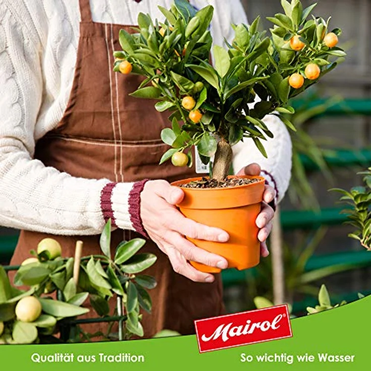 Ballistol Mairol Citrusdünger Citrusenergie 1000ml Düngemittel – Bild 5