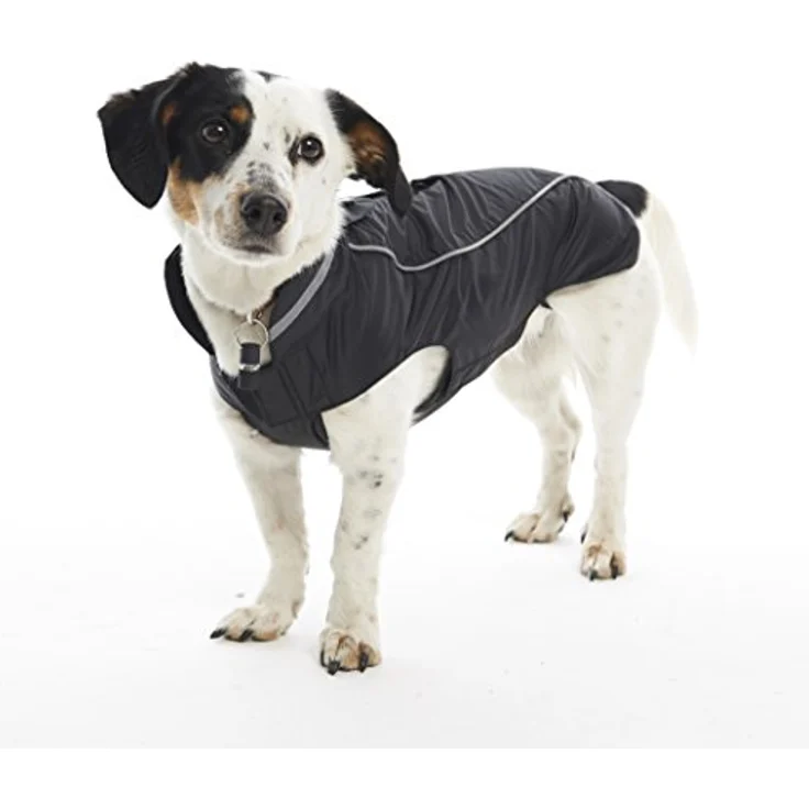 Kruuse Buster Softshell - Hundejacke, wasser- und winddicht, atmungsaktiv, blau – Bild 3