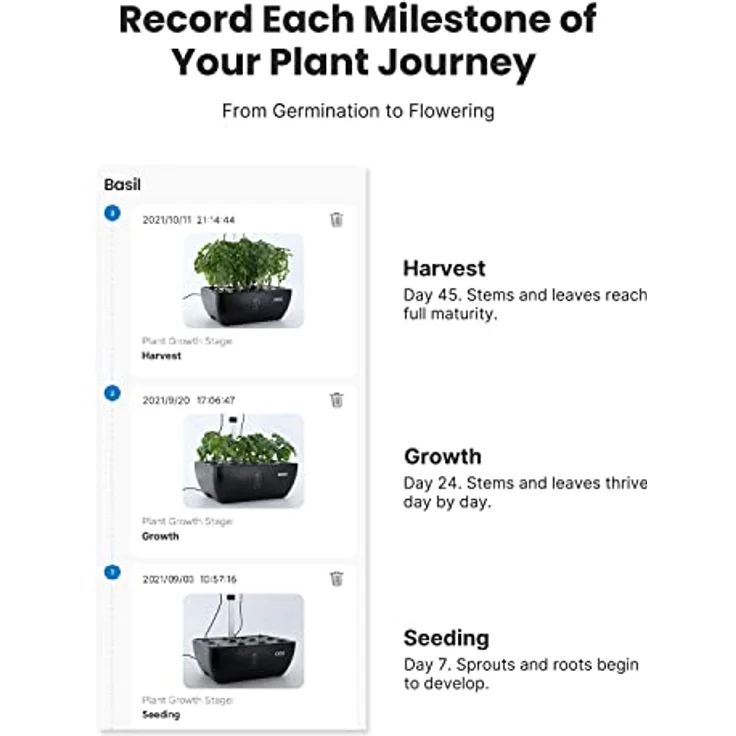iDOO WiFi Hydroponisches Anzuchtsystem, 12Pods Smart Garden mit LED-Pflanzenlampe, 6,5L Wasserbehälter, Ventilator, Indoor Kräutergarten Kit, Höhenverstellbar, WLAN-Steuerung, Großer Wasserbehälter – Bild 3