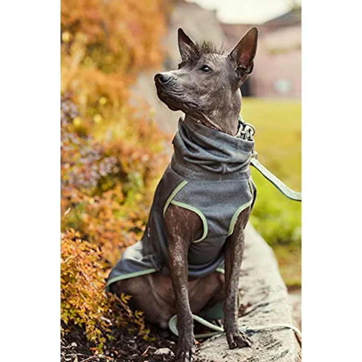 Hurtta Razzle-Dazzle blackberry Gr.45 (M, Hundemantel), Hundebekleidung – Bild 5