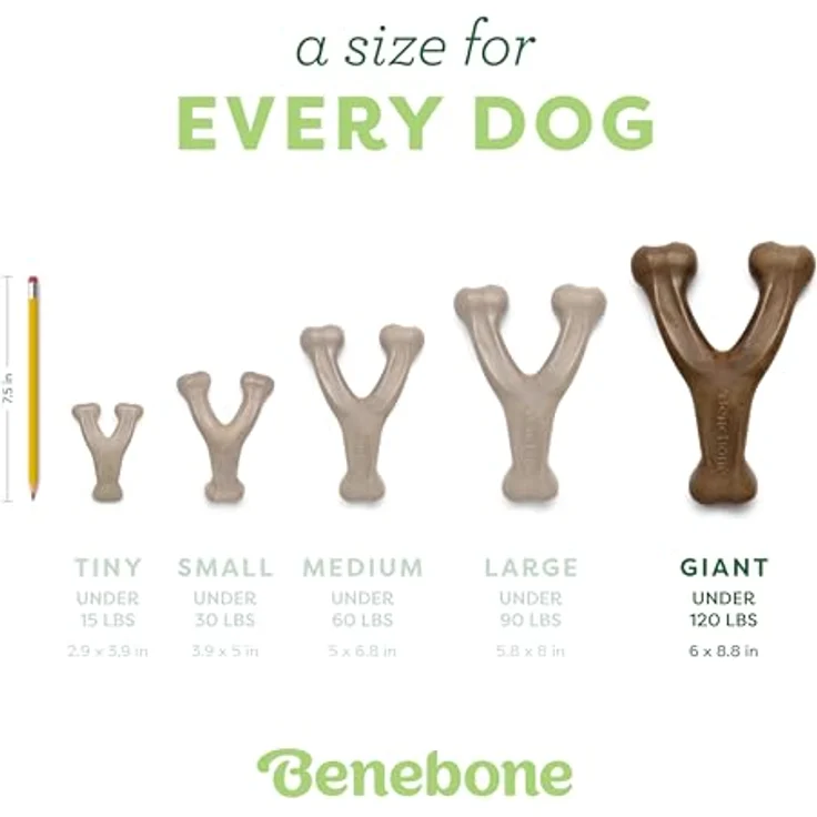Benebone Wishbone Chicken XL, 24cm - (854111004972), Hundespielzeug – Bild 4