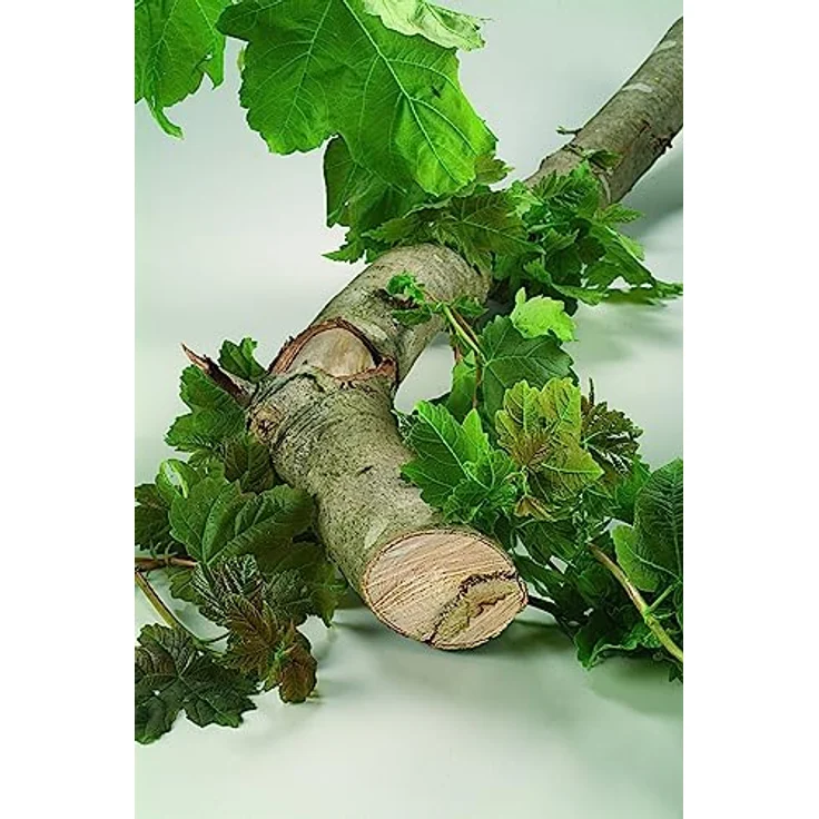 Bosch DIY 3tlg. Säbelsägeblatt-Set Wood and Metal zum Sägen in Holz und Metall - Preisvergleich – Bild 6