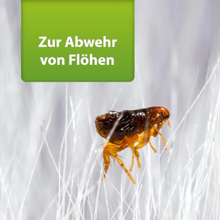 Ardap ARDAP Repell Flohspray 400 ml, effektives Insektenspray zur Abwehr von Flöhen und Ungeziefer – Bild 3