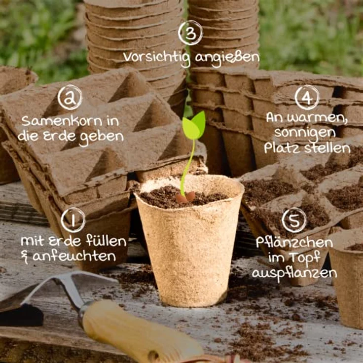 Windhager Anzucht-Töpfe, Pflanztöpfe, Saattopf, Aussaattöpfe, Ziehtöpfe, torffrei, 8 cm rund, 48 STK, 04343 – Bild 2