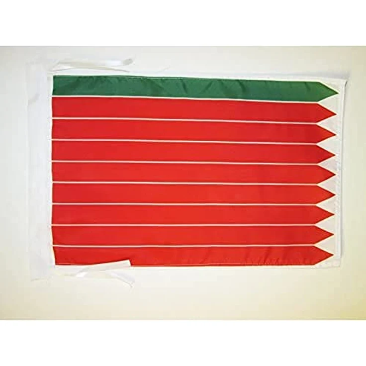 AZ FLAG Provinz Zamora Flagge, 45x30 cm mit Kordel, verstärkte Ecken, 100D Polyester, Innen & Außen – Bild 1