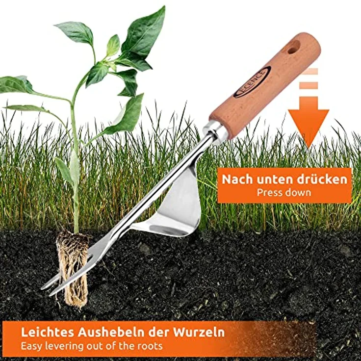 ECENCE Unkrautstecher Edelstahl, Wurzeljäter mit Holzgriff, Manueller Weeder zum Graben, Jäten, Lösen, Geschenk für Gärtner Gärtnerinnen – Bild 2