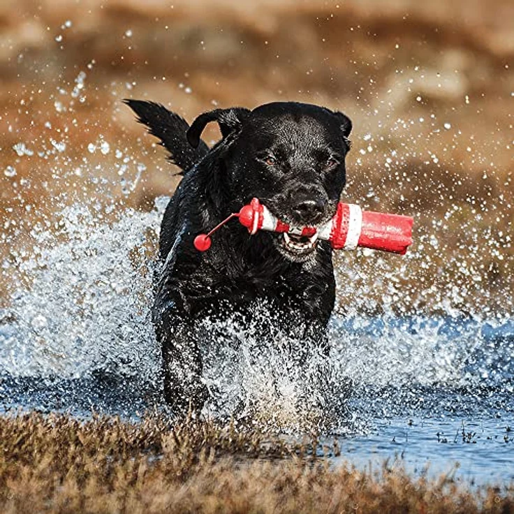 Rogz Leuchtturm Floating Hundespielzeug – Bild 3