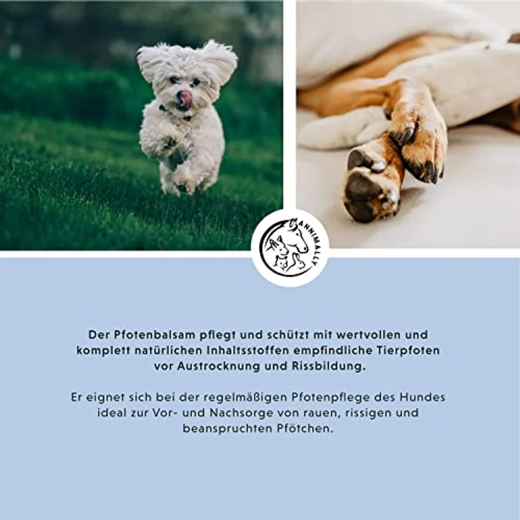Annimally Hunde Pfotenbalsam 50g - Ideale Pfotenpflege für Hundepfoten mit Bienenwachs, Sheabutter & Ringelblumenöl - Ideal für die Wundheilung und den Pfotenschutz beim Hund – Bild 3