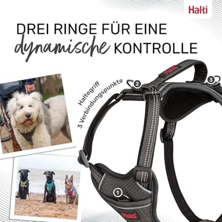 Company of Animals HALTI Anatomy Hundegeschirr mit Griff – 3 Leinenverbindungspunkte, verstellbar, Neoprenpolsterung, reflektierend, Größe M, Grau – Bild 5