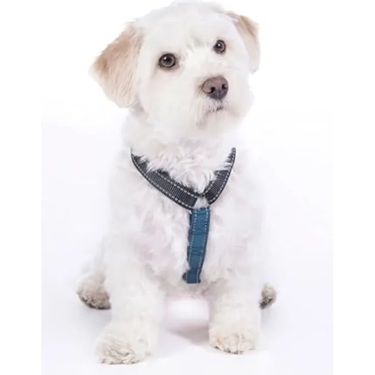 HKM ANAM Cara Hundegeschirr, Dunkelblau/Petrol, super weich und bequem, verstellbarer Gurt, einfach zu tragen und zu entfernen
