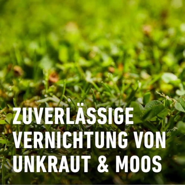 Compo Rasendünger gegen Unkraut + Moos Komplett-Pflege - Optimaler Langzeitschutz - 6 kg für 200 m² – Bild 4