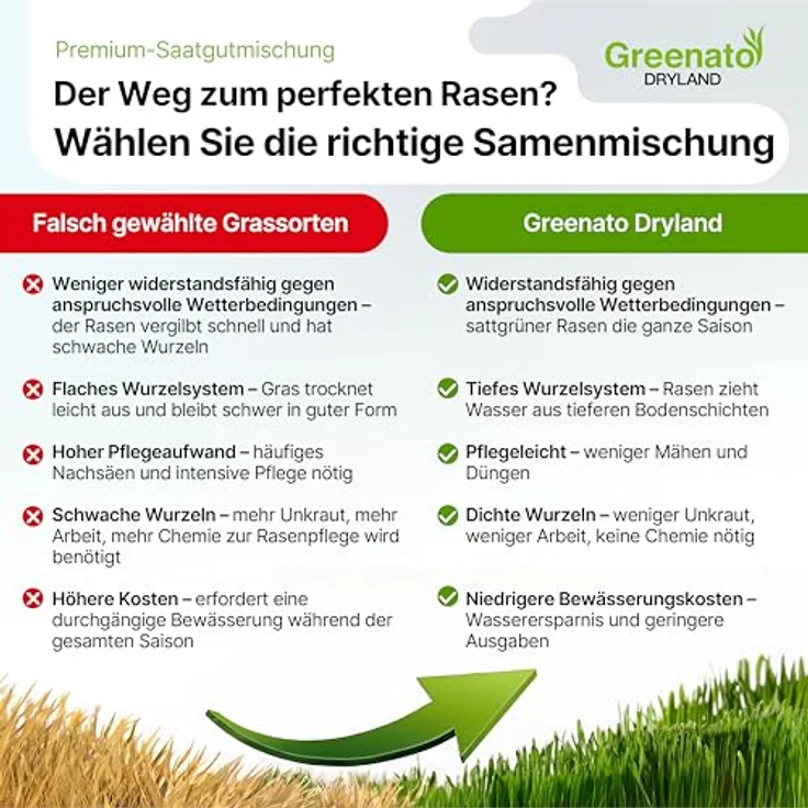 Greenato Dryland Trockenrasen 10kg, trockenresistenter Rasensamen, schnellkeimend für Frühjahr und Herbst, ideal für 400 m² – Bild 5