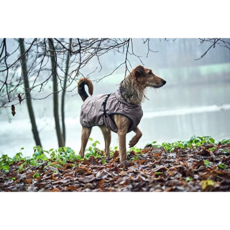 HUNTER UPPSALA Hundemantel, wasserabweisend, reflektierend, 35, taupe – Bild 2