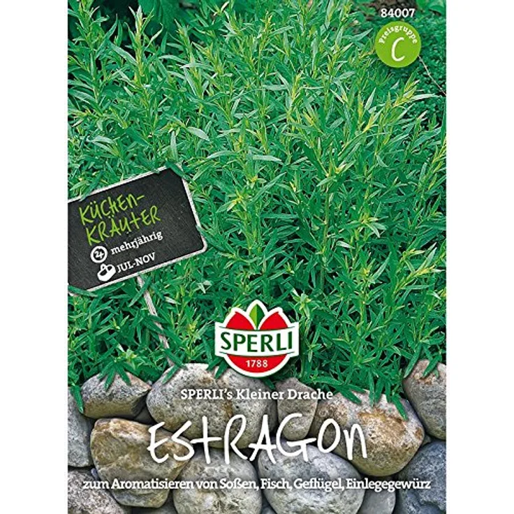 Sperli Estragon Artemisia dracunculus SPERLING`s Kleiner Drache