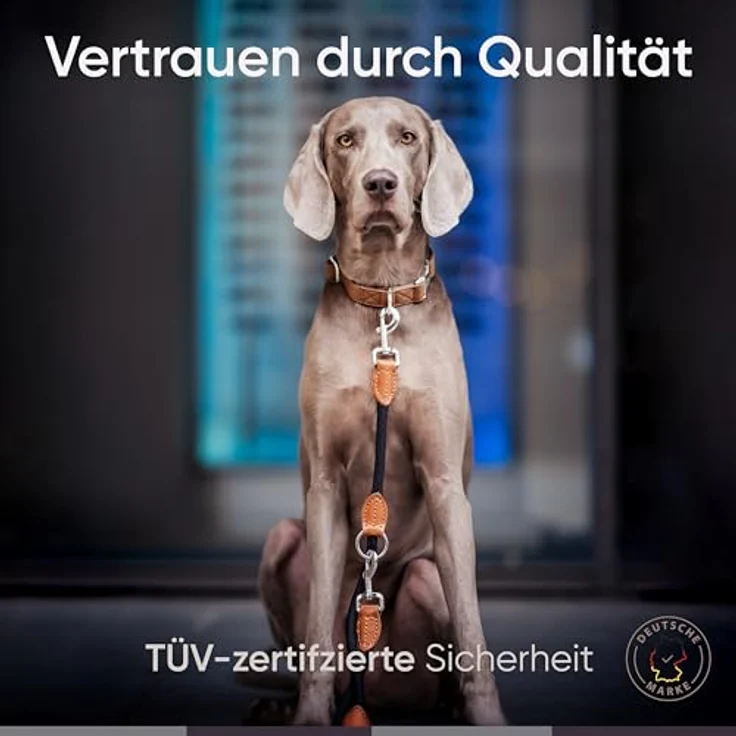 FREUDENTIER® Hundeleine für mittelgroße & große Hunde – 2m Länge & 3-Fach verstellbar - Führleine aus robustem Nylon abgerundet mit stilvollen braunen Lederelementen (schwarz) – Bild 4