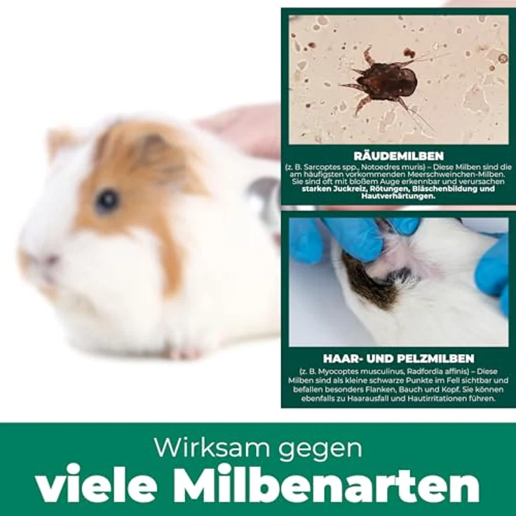 Silberkraft Milbenspray für Meerschweinchen, hochwirksame Milbenabwehr mit Sofort- & Langzeitschutz, 500 ml – Bild 4