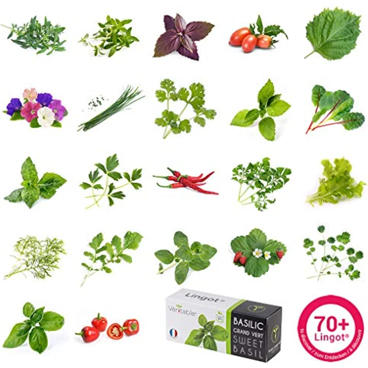 VERITABLE Lingot Nachfüllpack Süßes Basilikum BIO – Bild 6