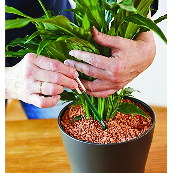 SERAMIS Gießanzeiger Indoor groß, 2 Stück – Bild 5