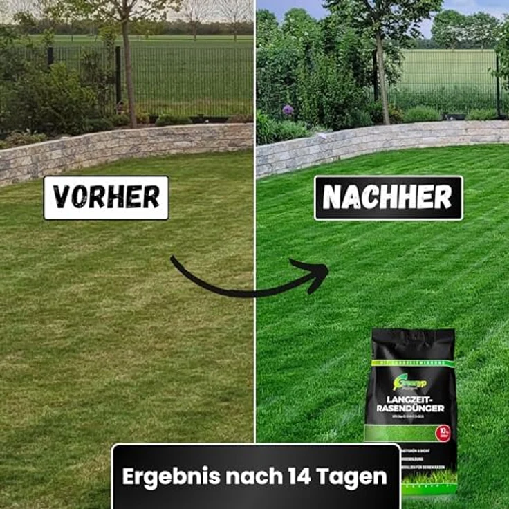 Greenyp Langzeit Rasendünger Frühjahr, 10kg für 300m² mit Langzeitwirkung & Depotwirkung, NPK 12+6+7, verhindert Moosbildung – Bild 3