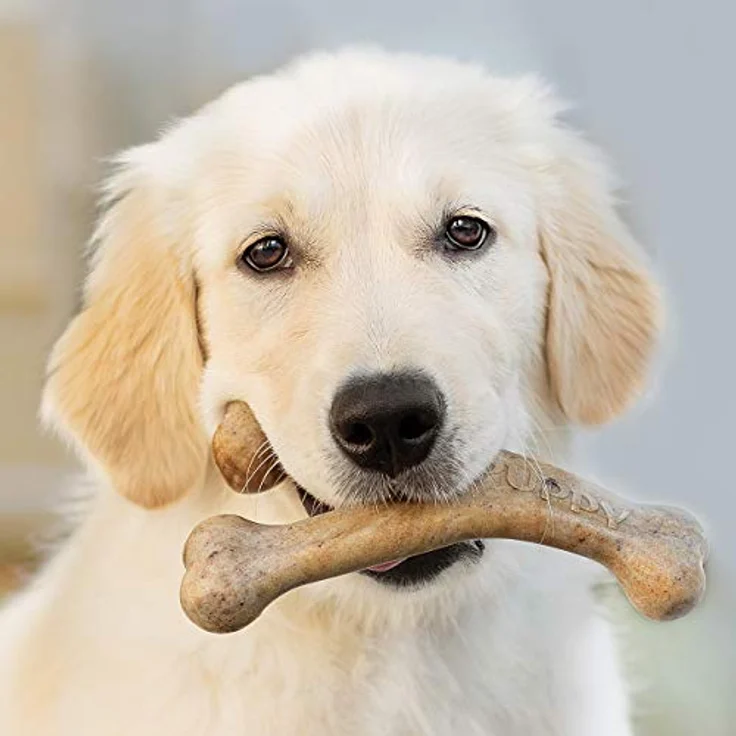 Benebone Puppy Wishbone Bacon M, 18cm - (854111004897) (Kauspielzeug), Hundespielzeug – Bild 2
