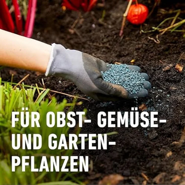 COMPO BIO Blaudünger, Bio-Dünger für Garten- und Balkonpflanzen, universell einsetzbar für Blumen, Gemüse und Obst, 4 kg, blau – Bild 5