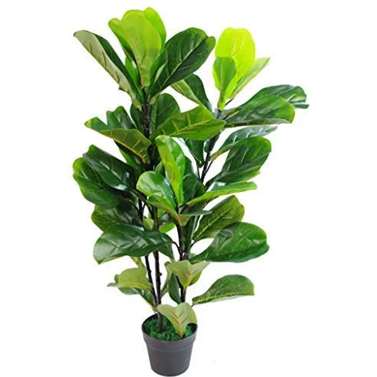 Leaf Design UK Künstliche Pflanze Fiddle Fig Baum, schwarzer Kunststofftopf, 90 cm