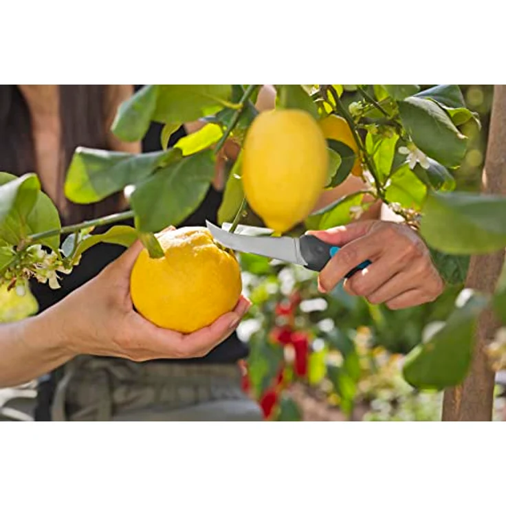 Gardena Erntemesser VeggieCut: Messer aus Edelstahl zum Ernten, Putzen und Schälen von Gemüse, Rutschfester Griff, spülmaschinengeeignet, inkl. Schleifer im Gürtelholster (12211-20) – Bild 3