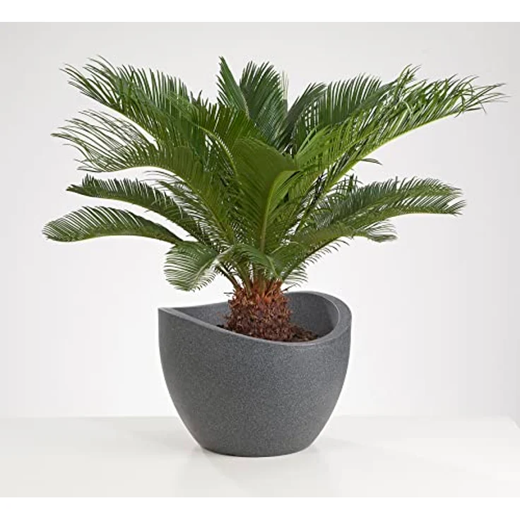 Scheurich Wave Globe, Pflanzgefäß aus Kunststoff, Schwarz-Granit, 50 cm Durchmesser, 37,1 cm hoch, 37 l Vol. – Bild 3