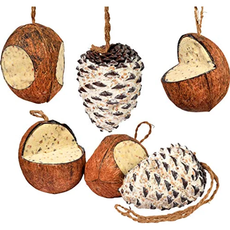 dobar® 24102e Premium Vogelfutter Mix - Gefüllte Kokosnüsse und Pinienzapfen mit Fettfutter für Wildvögel - hochwertige Vogelfuttermischung im Set - Ganzjahresfutter für Garten/Terrasse - 6 teilig