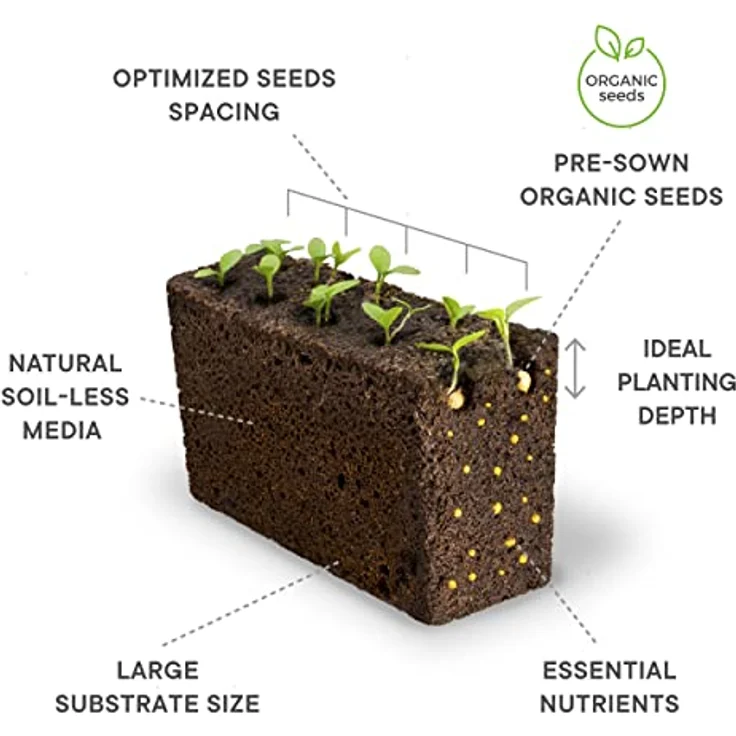 VT Lingot Dill BIO - Preisvergleich – Bild 3