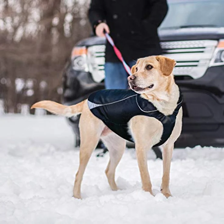 Kurgo North Country wasserdichter Hundemantel, Mit Fleece-Futter, LED-Licht für Nachtsichtbarkeit, Größe L, Schwarz – Bild 5
