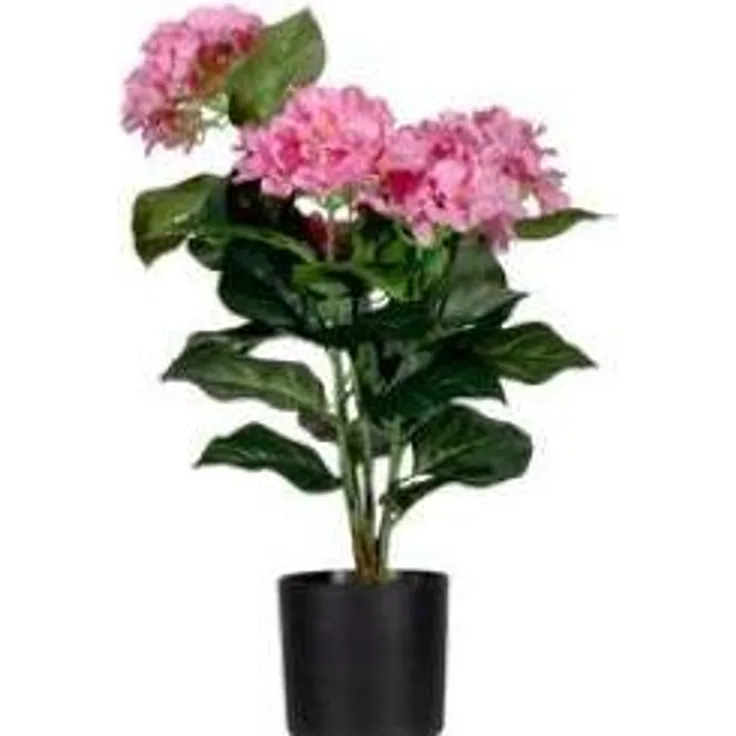 Paperflow HORTENSIE Kunstpflanze, 55 cm, pflegeleicht und dekorativ