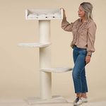 RHRQUALITY Kratzbaum Grosse Katzen stabil XXL Royalty für Maine Coon schwere Katze beige, 20cmØ Sisalstämme, 36KG Total, mit dicker Stamm (Normal) - Preisvergleich