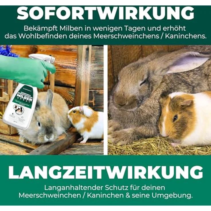 Silberkraft Milbenspray für Meerschweinchen, hochwirksame Milbenabwehr mit Sofort- & Langzeitschutz, 500 ml – Bild 6