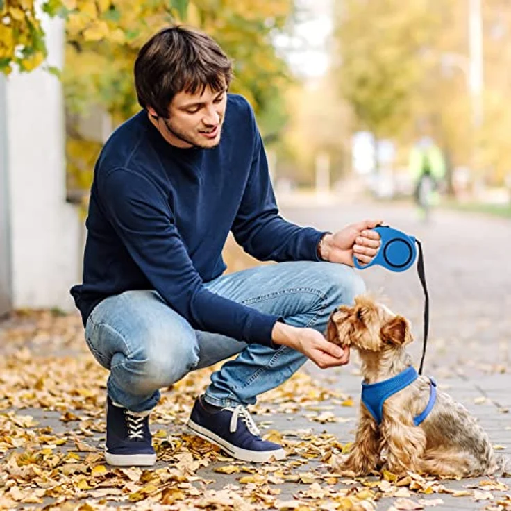 Retoo Rollleine Hundeleine 3m für kleine & große Hunde, Flexibles Band für Rechts Spaziergänge, Dog Leash, Bequemen Griff, Gurt-Leine, Robuste Ausziehleine fürs Gassigehen Roll-Leine Hochwertige Leine – Bild 5