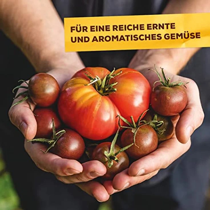 SBM Solabiol Tomatendünger, 0,75 kg – Bild 5