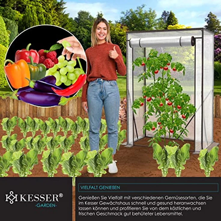 KESSER Premium Tomatengewächshaus Foliengewächshaus, Gewächshaus klein, Tomatenhaus, Treibhaus mit Tür zum Aufrollen - 100 x 50 x 150 cm Frühbeet, Gemüse, Blumen, Obst, Garten Transparent, 100 x 50 x 150 cm - Preisvergleich – Bild 5