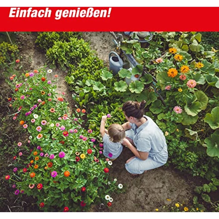 Swissinno Solar-Maulwurf-Vertreiber – Bild 6