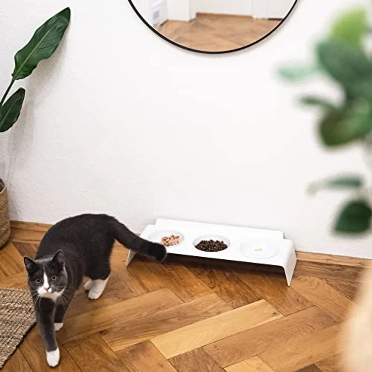LucyBalu® Erhöhte 3er-Futterstation Katze | Ergonomischer Katzennapf erhöht | Erhöhter Futternapf für Katzen | Ergonomischer Fressnapf & Wassernapf für Katzen | Katzen 3er Napfset erhöht | Weiß – Bild 4