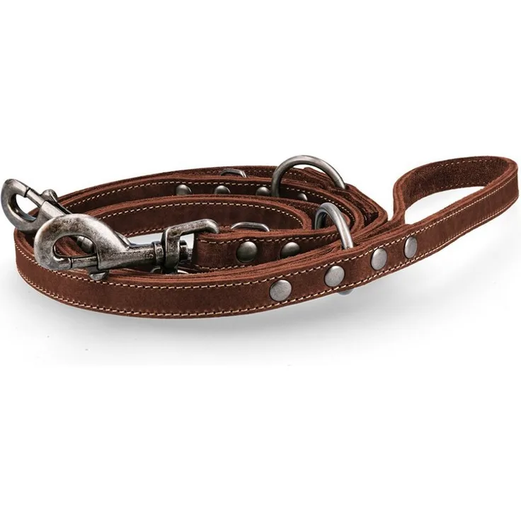 Spotted! Pro Hundeleine Leder Trainingsleine Braun 1,6x250cm, langlebig und flexibel für Training und Alltag