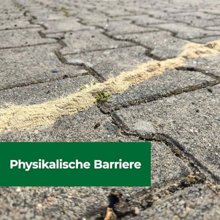 PROTECT HOME Ameisen & Milben Blocker, insektizidfreies Naturmittel gegen Ameisen und Milben, 200 g Dose für Garten und Rasen – Bild 5
