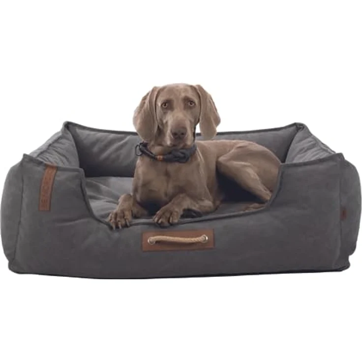 TRIXIE Hundebett BE Nordic Föhr 60x50 cm in dunkelgrau – eckiger Hundekorb für kleine & große Hunde - gemütliches Hundekörbchen mit praktischem Tragegriff - weich & waschbar - 37447 – Bild 2