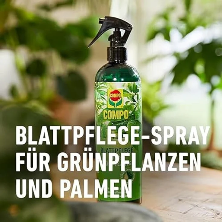 Compo Blattpflege für Grünpflanzen Spray, 500 ml – Bild 5