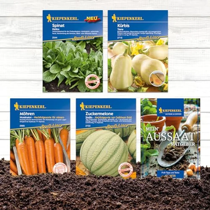 Kiepenkerl Gemüsesamen-Set 'Superfood, Vitaminpower im eigenen Garten', inklusive Spinat Helios, Butternut-Kürbis Tiana F1, Zuckermelone Stellio F1 und Möhre Nominator F1, nährstoffreich und aromatisch – Bild 3