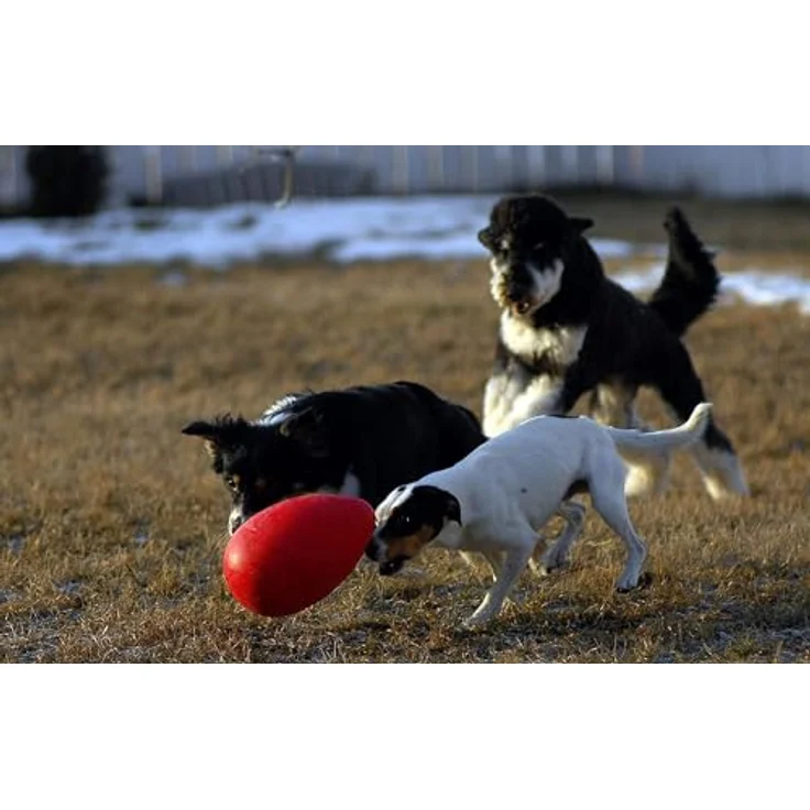 Jolly Pets Jolly Ei Hartplastik -Kugel für Pets Spaß-Hunde Chewers Spielzeug Rot 20cm – Bild 4