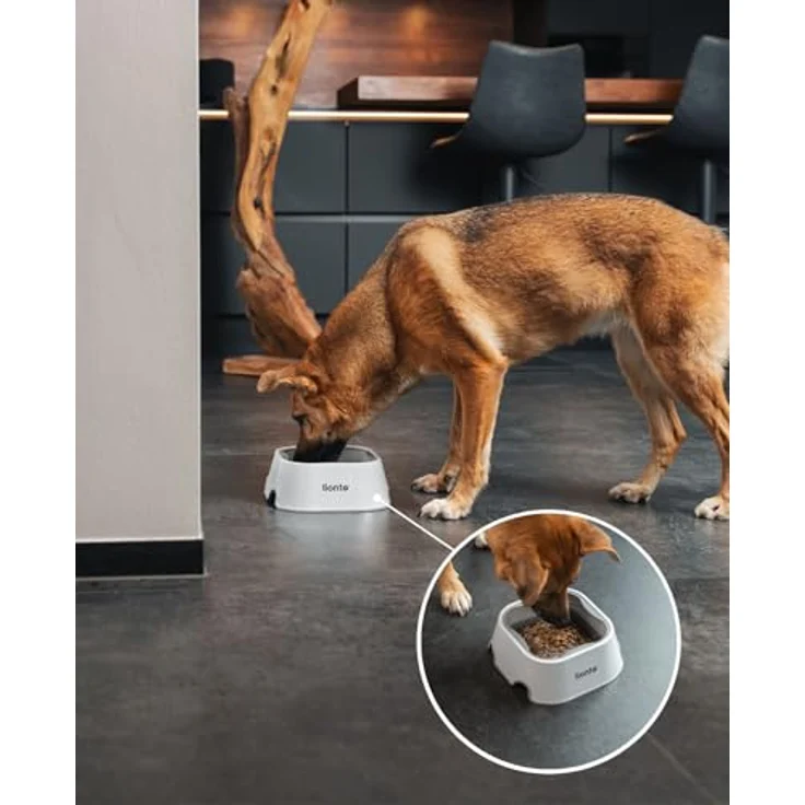 lionto Wassernapf für Hunde & Katzen auslaufsicherer Hundenapf Trinknapf für Haustiere Anti Schlabber Napf rutschfest, 1 Liter – Bild 3