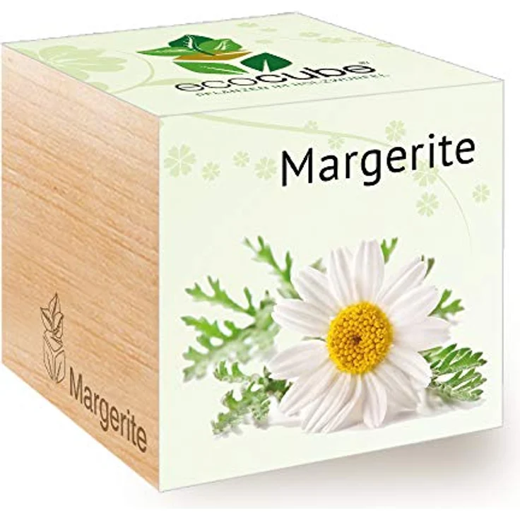 Feel Green Ecocube Margerite, Anzuchtset im Holzwürfel, Made in Austria – Bild 1